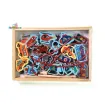 Picture of Magnetic Lacing and Fishing Box Toy Set - Vegetables, Fruits, Vehicles, Animals, Fish (Per Variation)